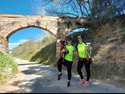 Annemarie Sangeorzan