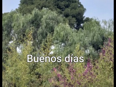 JOSE MIGUEL UCLES DIAZ