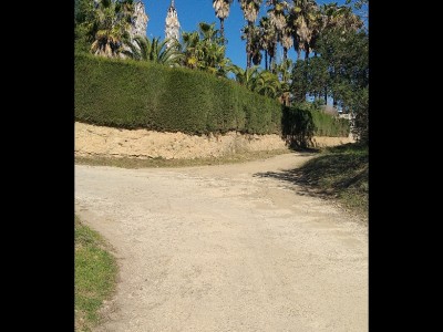 JOSE MIGUEL UCLES DIAZ