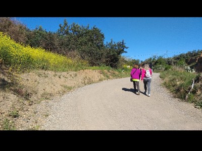 JOSE MIGUEL UCLES DIAZ