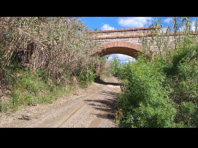 JOSE MIGUEL UCLES DIAZ