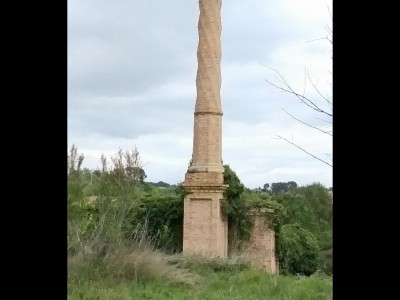 JOSE MIGUEL UCLES DIAZ