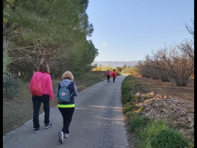 Teresa  Serra Sirach 