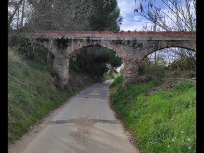 Misericordia Alegre Llaberia