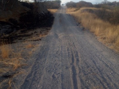 Maria Carmen  Guevara Basaldua