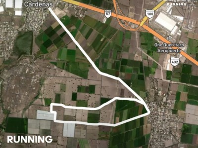 perla rivera gonzalez