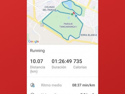 María del Socorro Alonso Martinez