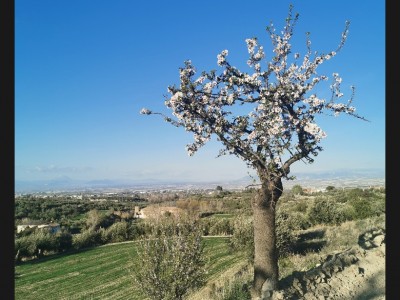 jose López Cañadas