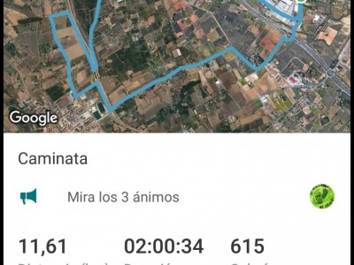 Ines  Manasanch Company 