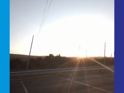 Imelda CAMPILLO OLVERA