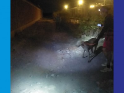 José Ramón  Hurtado contreras 