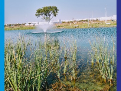 Wendy Alejandra Loeza Narváez