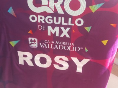 Rosa Elvia Alcantara Nieves