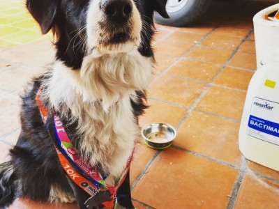 Hector Brian Olguin Cruz