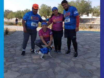 francisco garcia teran