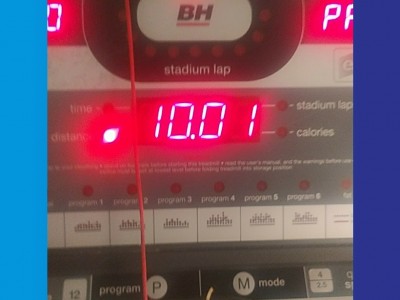 Luis Antonio  Vega Pichardo 