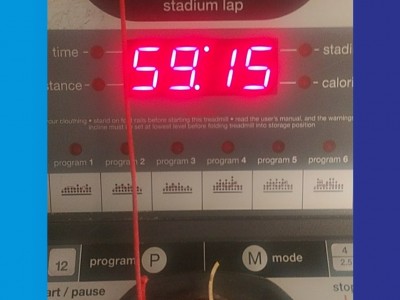 Luis Antonio  Vega Pichardo 