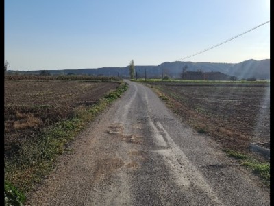 antoni Andreu farras