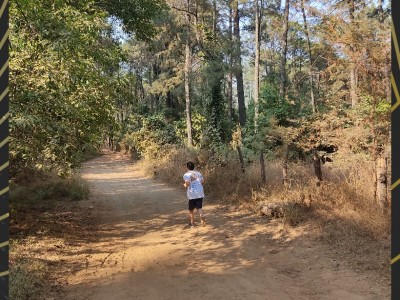 Julián Yaudiel montaño Sánchez