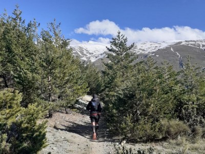 Juan Manuel  Santaella Hoyo 