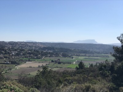 Elisa Vialatte Niemeyer