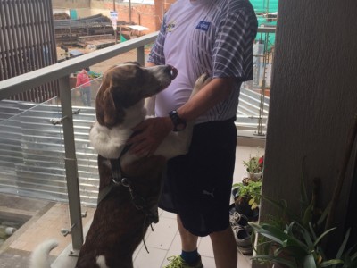 Fredy Hernando  Viracachá Pava