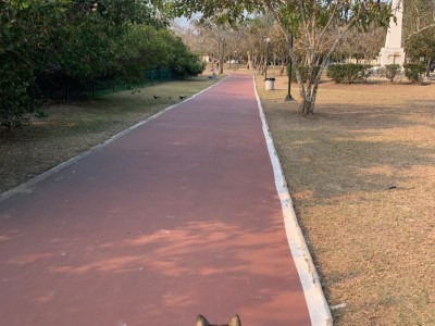 Celia Elena Sanchez Sánchez