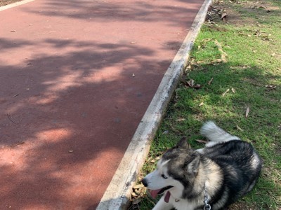 Celia Elena Sanchez Sánchez