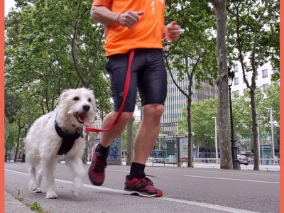 Xavier  de Pablo Ruiz 