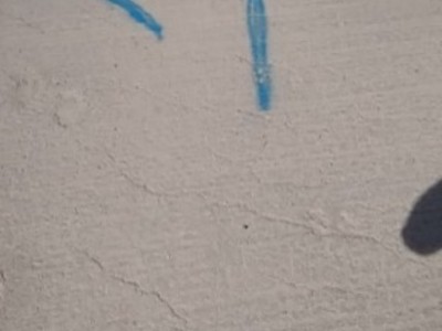 Rafael Baena González