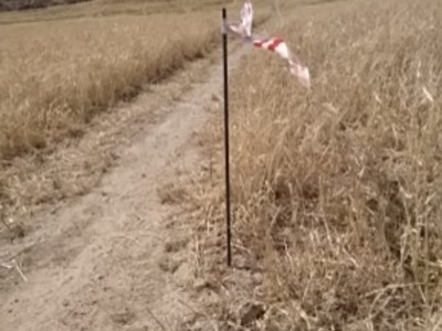 Rafael Baena González