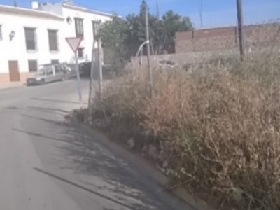 Rafael Baena González