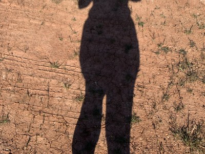 M Jose  Tomas Lizana