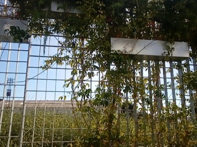 Pablo Jose Villaecija