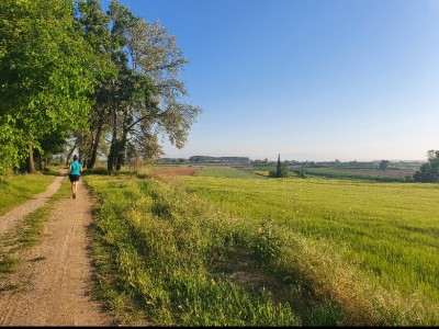 Elisabet Ojea Jiménez