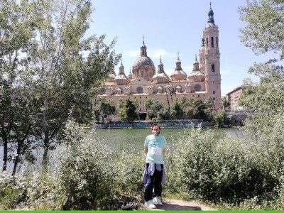 javier royo aguaviva