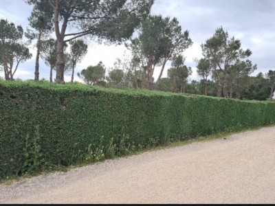 Jose Manuel Castano Sanchez