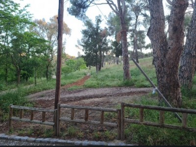 Jose Manuel Castano Sanchez