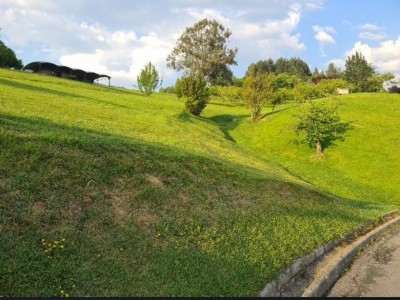 Jose Manuel Castano Sanchez