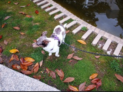 Sergio  Riestra Tejero