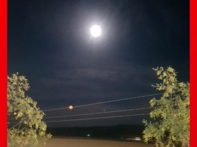 Sandro  Martin Hernández 