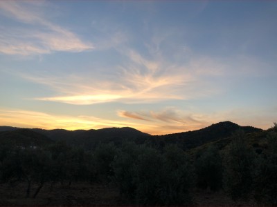 Rocío Ballesta Molina