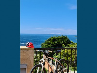 Mercedes  Carrera Rial 