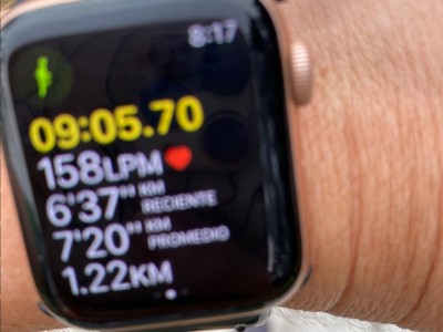 Angélica  Aranda Lujano 