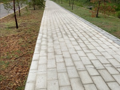 Angélica  Aranda Lujano 