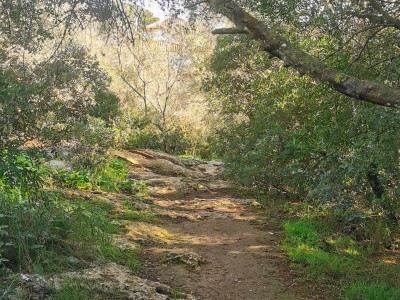 Matías Fernández Oyuela