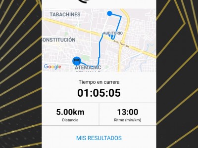 Dolores Patricia  Hernández Gutiérrez