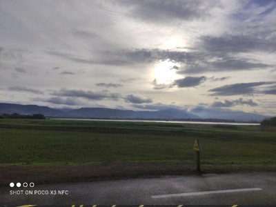 Mónica Olvera Soriano