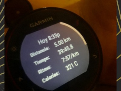 Tania Elizabeth  Hernandez Viera