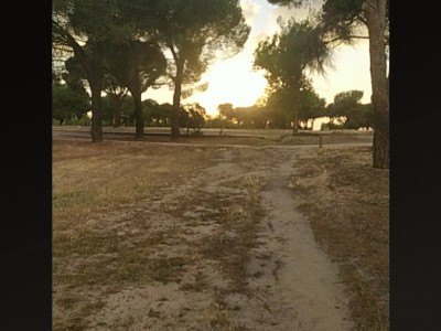 Manuel oca Linares